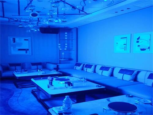 豪华包厢内部环境